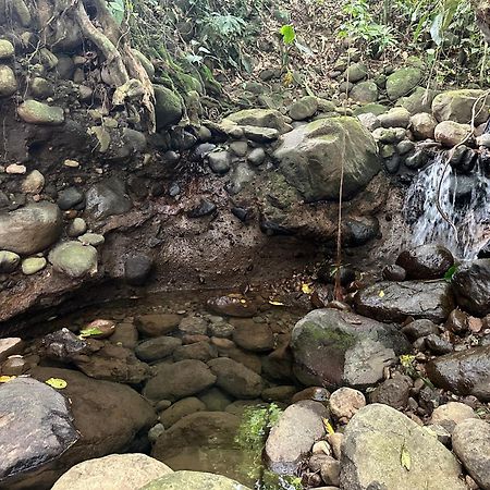 Casa Rio Blanco Eco Friendly B&B Guapiles Bagian luar foto