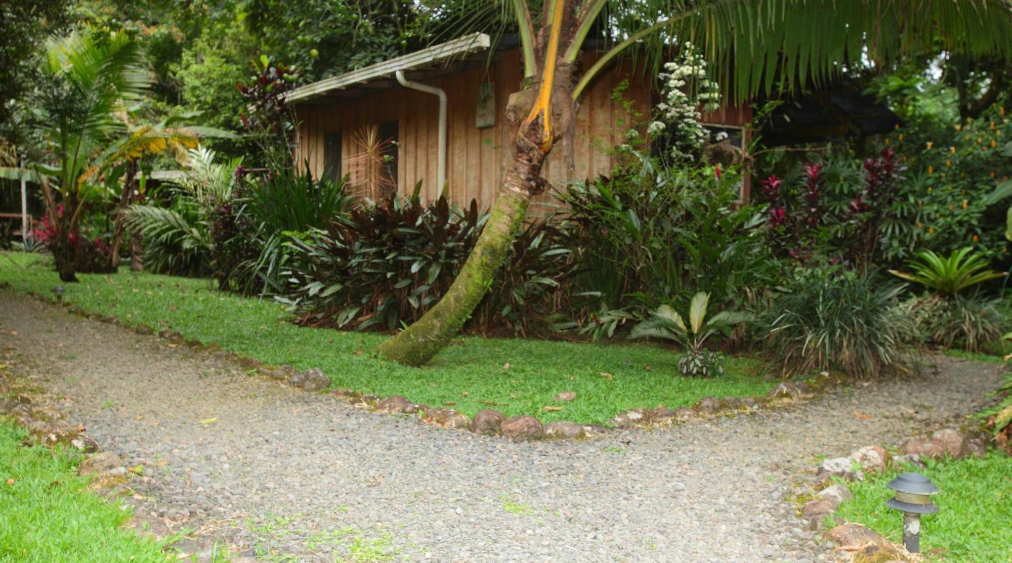 Casa Rio Blanco Eco Friendly B&B Guapiles Bagian luar foto