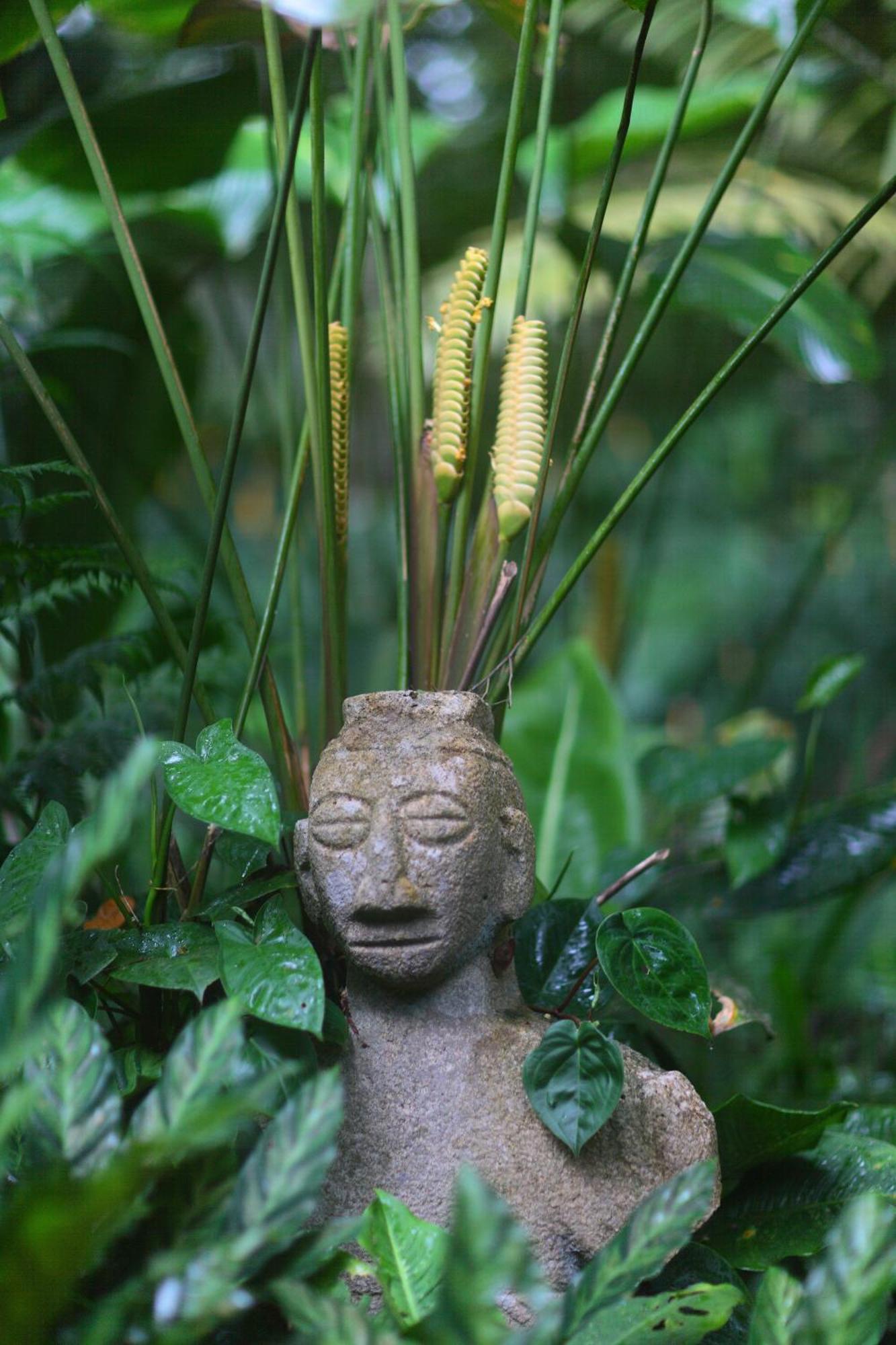 Casa Rio Blanco Eco Friendly B&B Guapiles Bagian luar foto