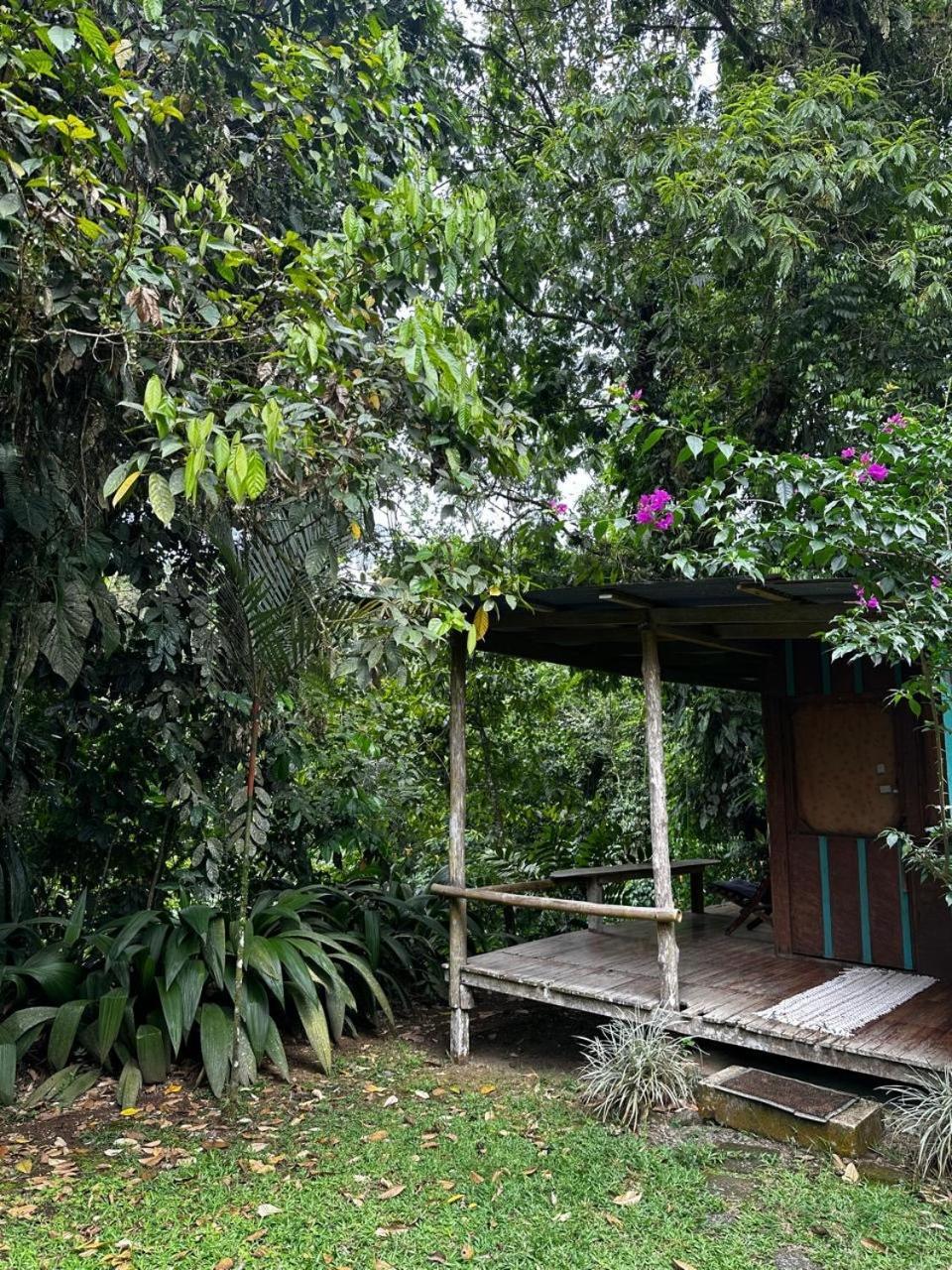 Casa Rio Blanco Eco Friendly B&B Guapiles Bagian luar foto