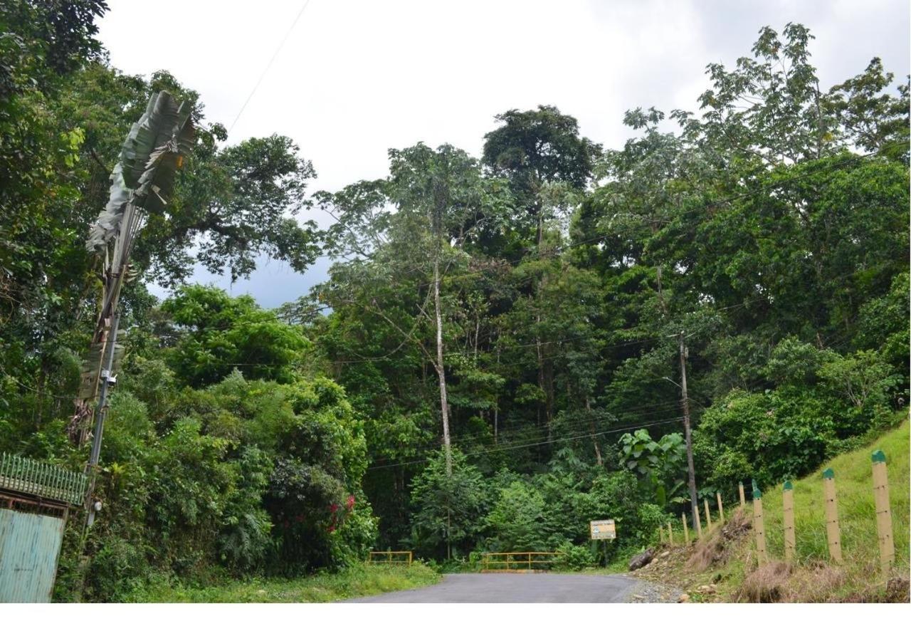 Casa Rio Blanco Eco Friendly B&B Guapiles Bagian luar foto