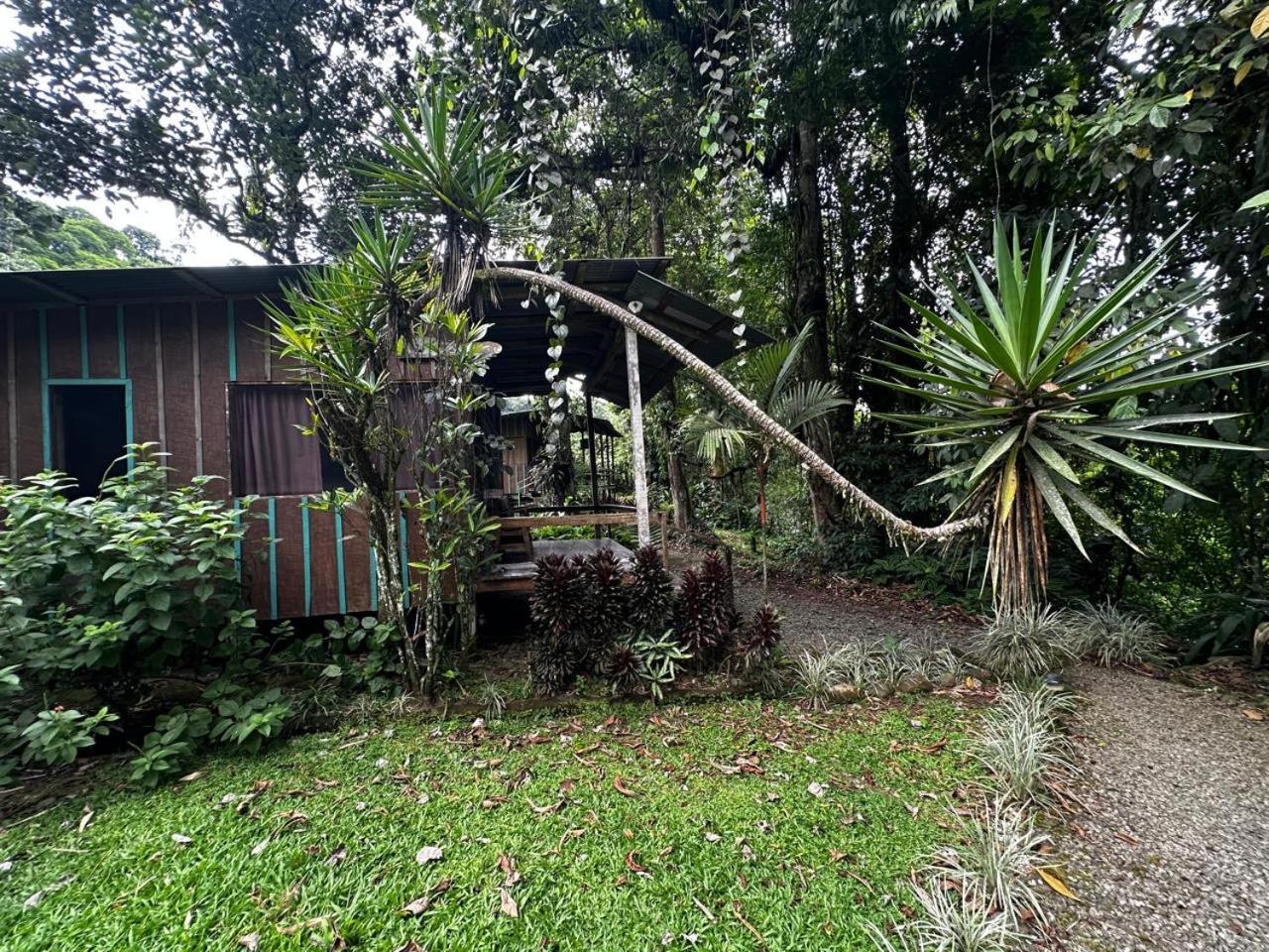 Casa Rio Blanco Eco Friendly B&B Guapiles Bagian luar foto