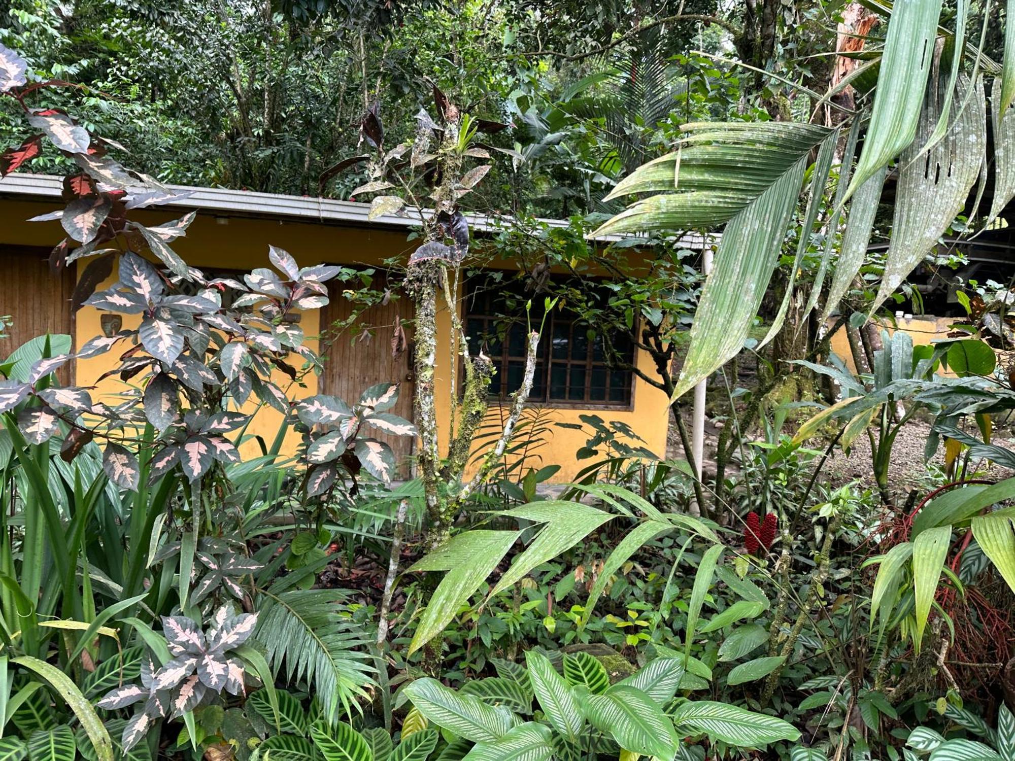 Casa Rio Blanco Eco Friendly B&B Guapiles Bagian luar foto