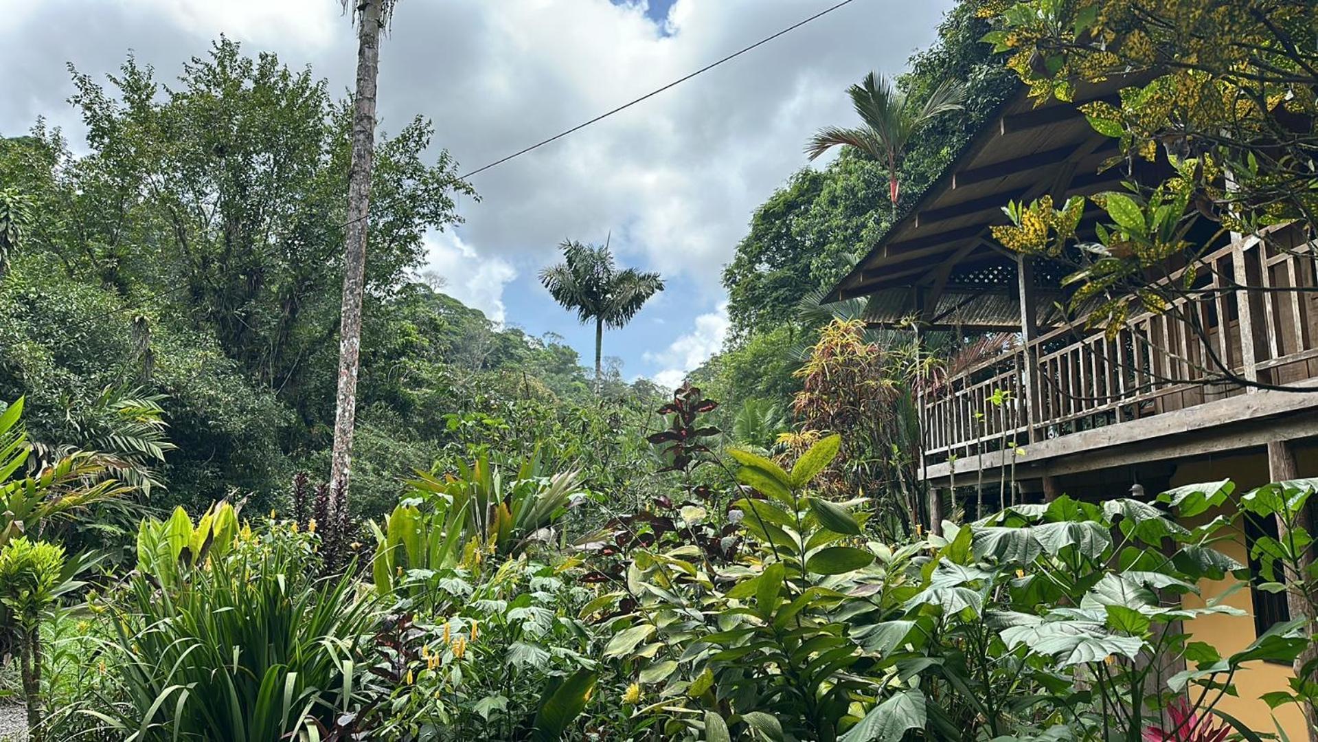 Casa Rio Blanco Eco Friendly B&B Guapiles Bagian luar foto