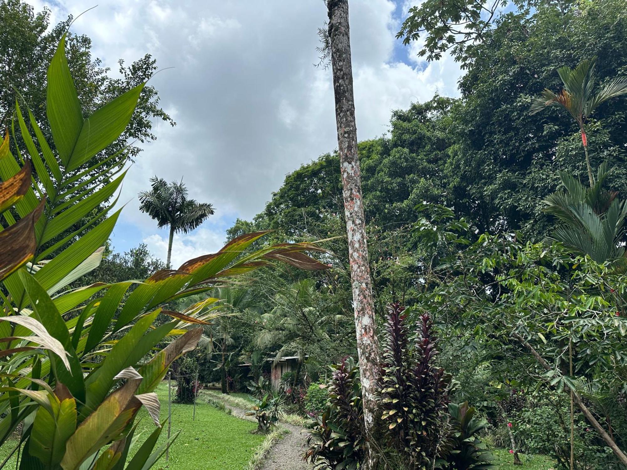 Casa Rio Blanco Eco Friendly B&B Guapiles Bagian luar foto