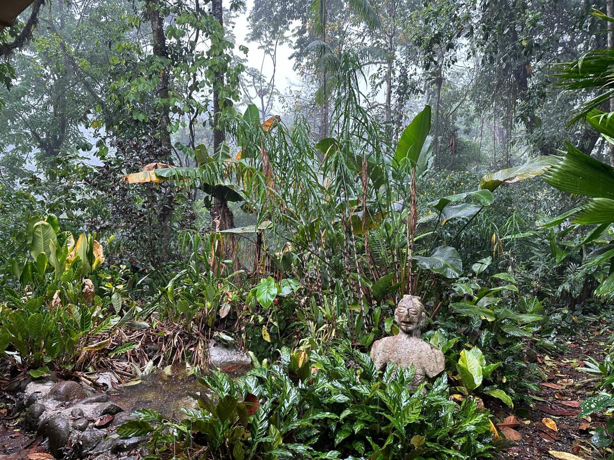 Casa Rio Blanco Eco Friendly B&B Guapiles Bagian luar foto