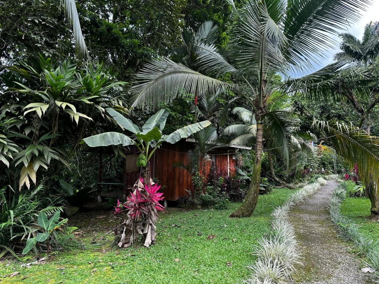 Casa Rio Blanco Eco Friendly B&B Guapiles Bagian luar foto