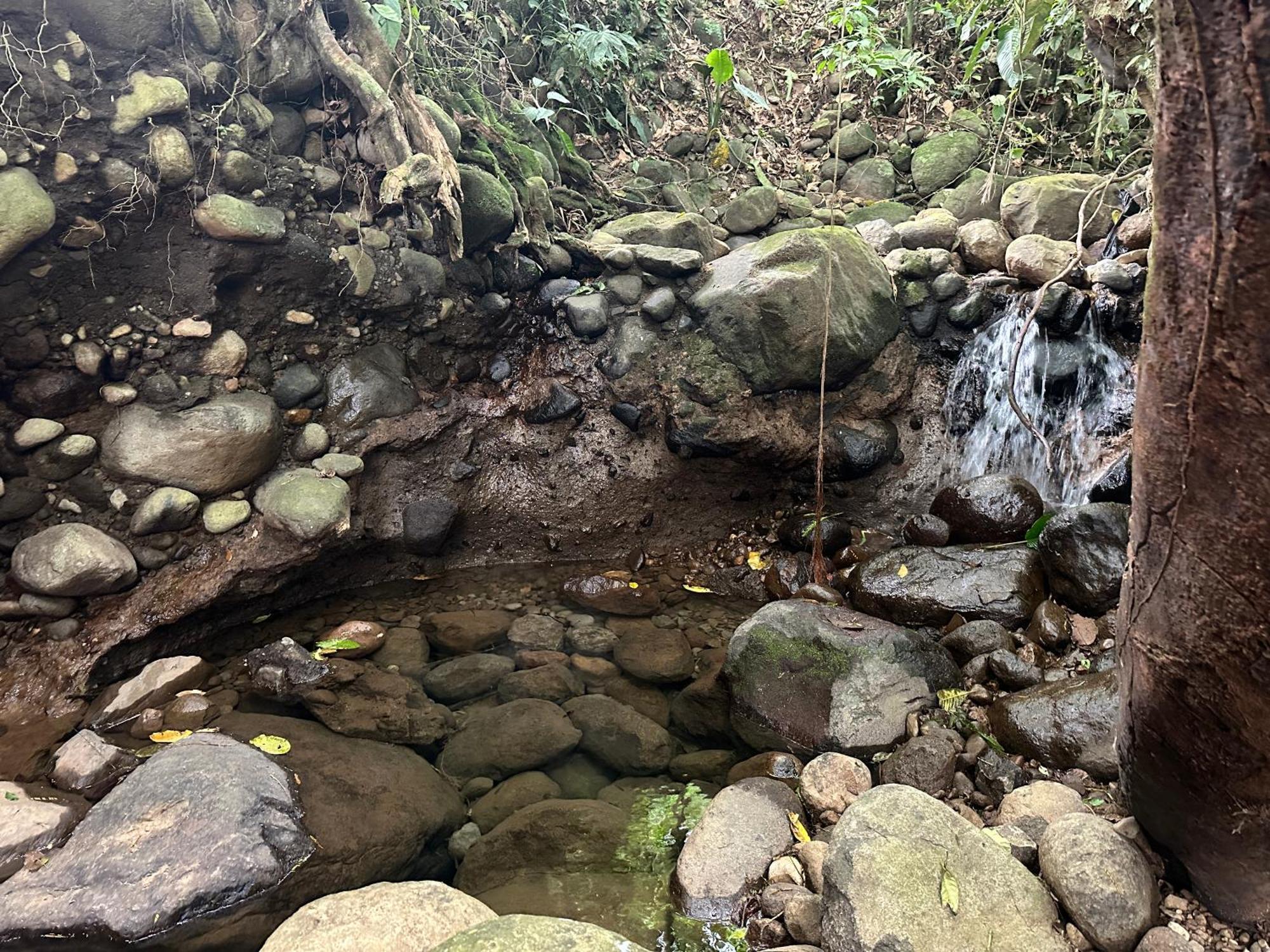 Casa Rio Blanco Eco Friendly B&B Guapiles Bagian luar foto