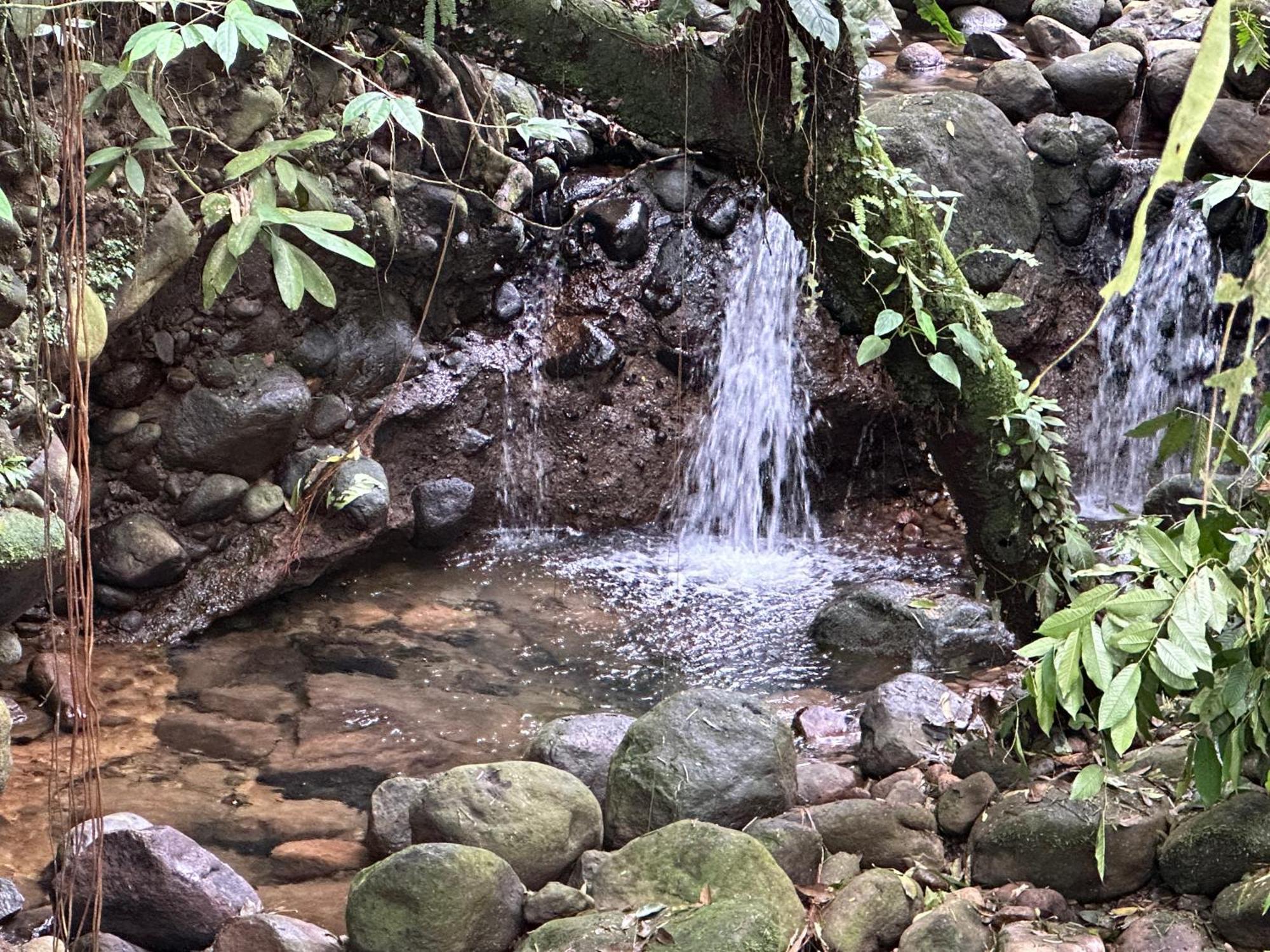 Casa Rio Blanco Eco Friendly B&B Guapiles Bagian luar foto